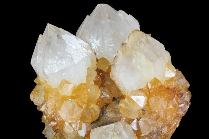Sunshine Cactus Quartz Crystal Cluster - South Africa #80197